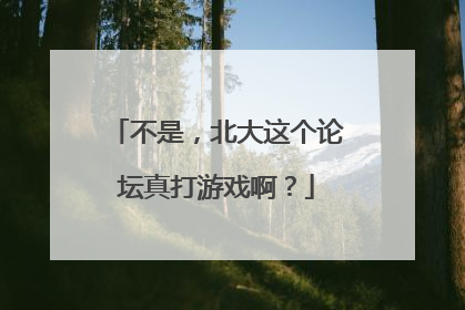 不是，北大这个论坛真打游戏啊？