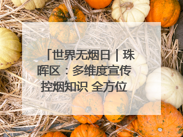世界无烟日｜珠晖区：多维度宣传控烟知识 全方位共筑健康防线