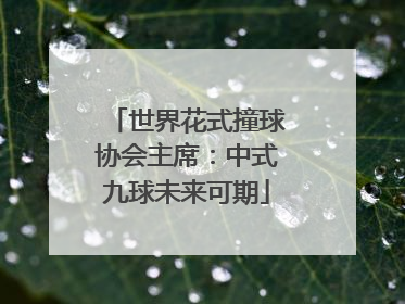 世界花式撞球协会主席：中式九球未来可期