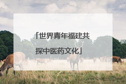 世界青年福建共探中医药文化