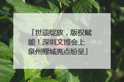 世遗绽放，版权赋能！深圳文博会上 泉州鲤城亮点纷呈