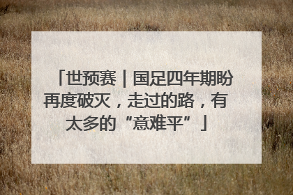 世预赛｜国足四年期盼再度破灭，走过的路，有太多的“意难平”