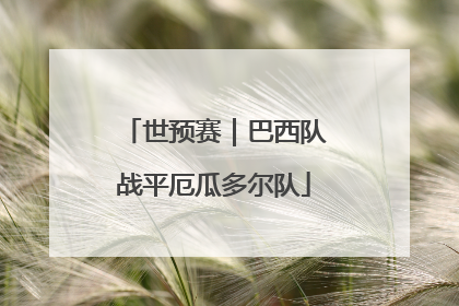 世预赛｜巴西队战平厄瓜多尔队