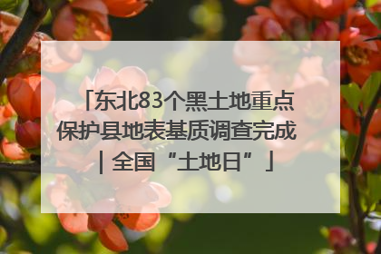 东北83个黑土地重点保护县地表基质调查完成｜全国“土地日”