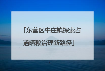 东营区牛庄镇探索占道晒粮治理新路径