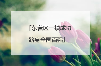 东营区一镇成功跻身全国百强