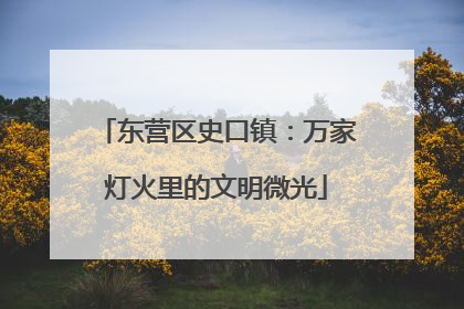 东营区史口镇：万家灯火里的文明微光