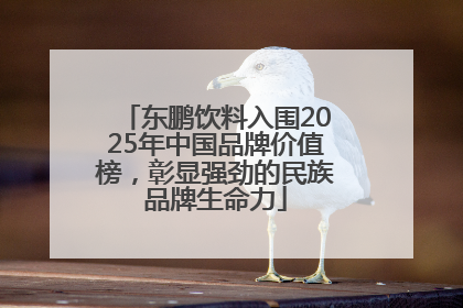 东鹏饮料入围2025年中国品牌价值榜，彰显强劲的民族品牌生命力