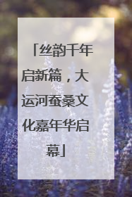 丝韵千年启新篇，大运河蚕桑文化嘉年华启幕