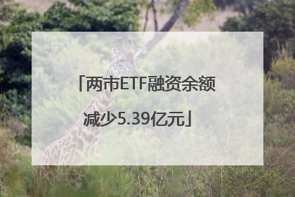 两市ETF融资余额减少5.39亿元