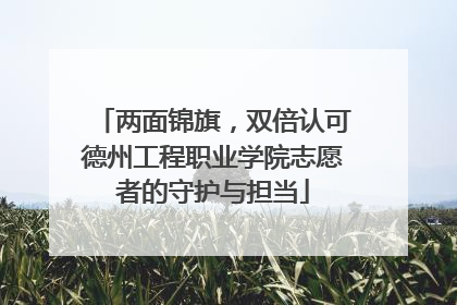 两面锦旗，双倍认可德州工程职业学院志愿者的守护与担当