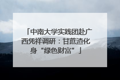 中南大学实践团赴广西凭祥调研：甘蔗渣化身“绿色财富”