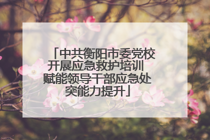 中共衡阳市委党校开展应急救护培训 赋能领导干部应急处突能力提升