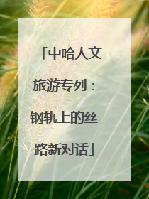 中哈人文旅游专列：钢轨上的丝路新对话