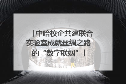 中哈校企共建联合实验室成就丝绸之路的“数字联姻”
