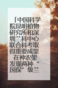 中国科学院昆明植物研究所和深圳兰科中心联合科考取得重要成果 在神农架发现两种“国保”级兰花