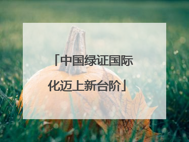 中国绿证国际化迈上新台阶