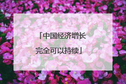 中国经济增长完全可以持续