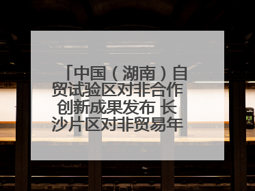 中国（湖南）自贸试验区对非合作创新成果发布 长沙片区对非贸易年均增长141%