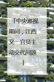 中央巡视期间，江西又一官员主动交代问题