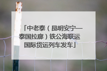 中老泰（昆明安宁—泰国拉廊）铁公海联运国际货运列车发车