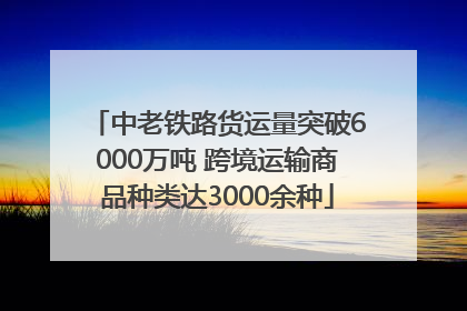 中老铁路货运量突破6000万吨 跨境运输商品种类达3000余种