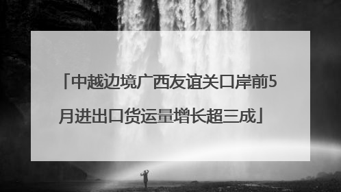 中越边境广西友谊关口岸前5月进出口货运量增长超三成