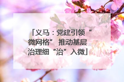 义马：党建引领“微网格” 推动基层治理细“治”入微