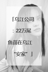 乌江公司：22万尾鱼苗在乌江“安家”