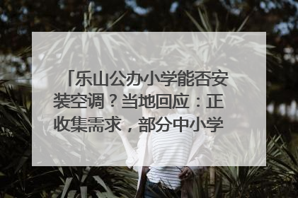 乐山公办小学能否安装空调？当地回应：正收集需求，部分中小学已启动安装｜云求助