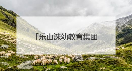 乐山洙幼教育集团聚焦园所管理，研究部署重点工作