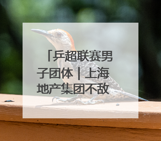 乒超联赛男子团体｜上海地产集团不敌山东魏桥·向尚运动