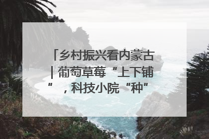 乡村振兴看内蒙古｜葡萄草莓“上下铺”，科技小院“种”出三倍效益