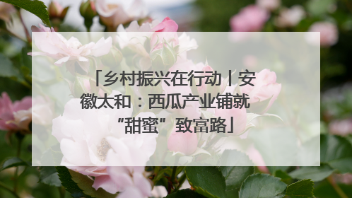 乡村振兴在行动丨安徽太和：西瓜产业铺就“甜蜜”致富路