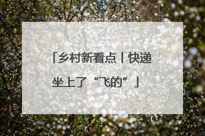 乡村新看点丨快递坐上了“飞的”