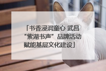 书香浸润童心 武昌“紫湖书声”品牌活动赋能基层文化建设