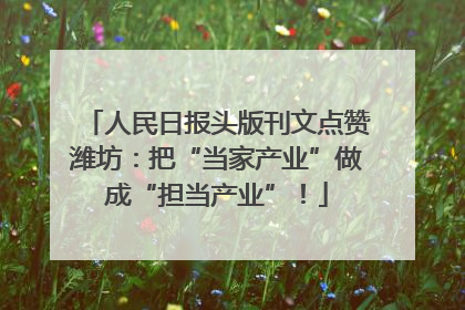 人民日报头版刊文点赞潍坊：把“当家产业”做成“担当产业”！