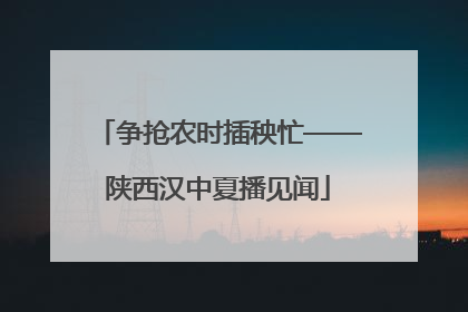 争抢农时插秧忙——陕西汉中夏播见闻