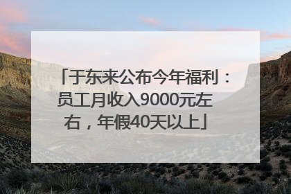 于东来公布今年福利：员工月收入9000元左右，年假40天以上