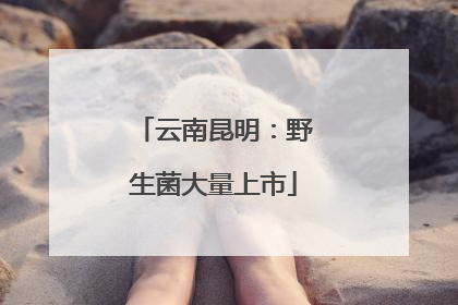 云南昆明：野生菌大量上市