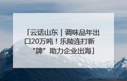 云话山东｜调味品年出口20万吨！乐陵连打新“牌”助力企业出海