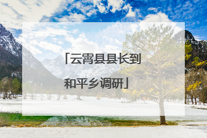 云霄县县长到和平乡调研