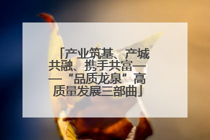 产业筑基、产城共融、携手共富——“品质龙泉”高质量发展三部曲