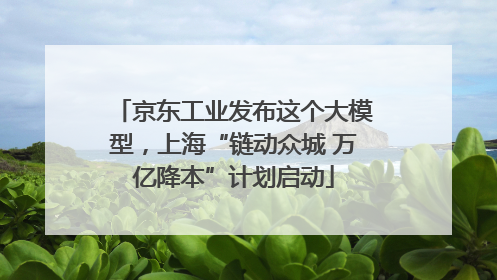 京东工业发布这个大模型，上海“链动众城 万亿降本”计划启动