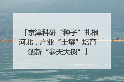 京津科研“种子”扎根河北，产业“土壤”培育创新“参天大树”