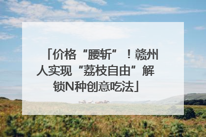价格“腰斩”！赣州人实现“荔枝自由”解锁N种创意吃法