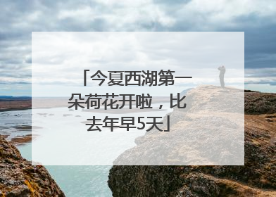 今夏西湖第一朵荷花开啦，比去年早5天