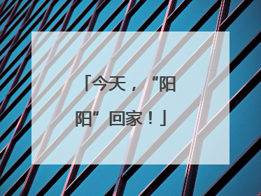 今天，“阳阳”回家！