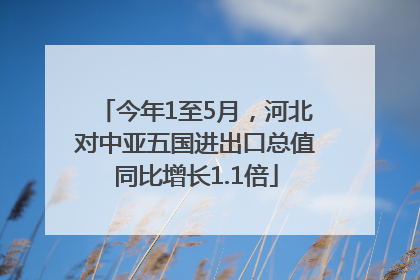 今年1至5月，河北对中亚五国进出口总值同比增长1.1倍