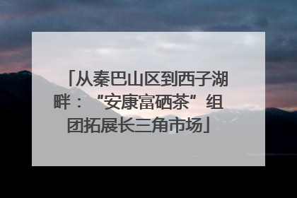 从秦巴山区到西子湖畔：“安康富硒茶”组团拓展长三角市场